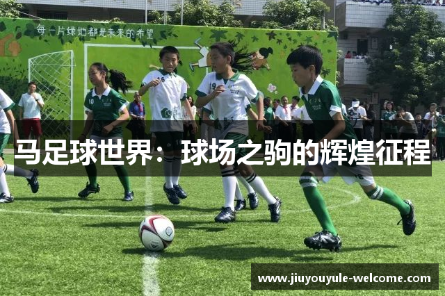 马足球世界：球场之驹的辉煌征程