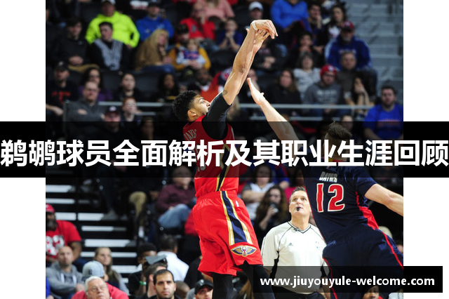 鹈鹕球员全面解析及其职业生涯回顾