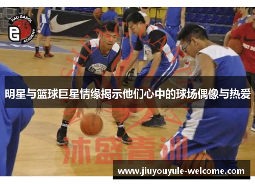 明星与篮球巨星情缘揭示他们心中的球场偶像与热爱